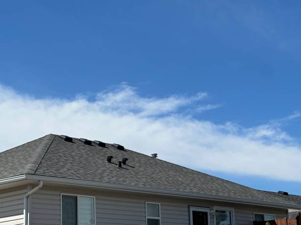 Gutter Replacement in Pembroke Park, FL